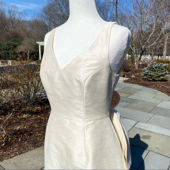 NWT Sachin and Babi Archie Mini Dress in Ivory 4 - Picture 14 of 17